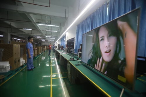 深圳家電代工廠新品牌低價逆襲,反向定制成雙11新關鍵詞
