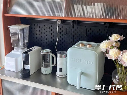 買得多用得少 小家電真香還是雞肋
